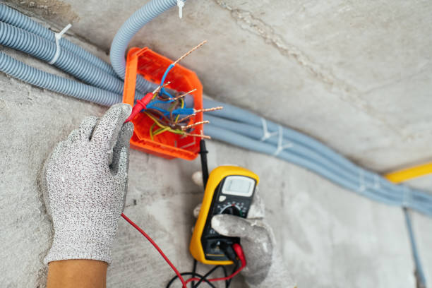 Best Electric Panel Repair  in Salmon, ID